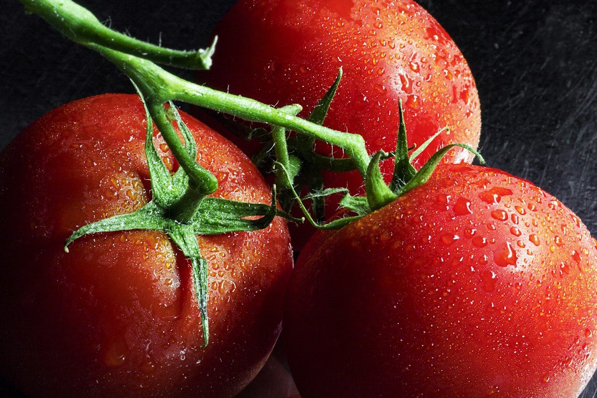 Organic Heritage Tomatoes – Mixed Varieties